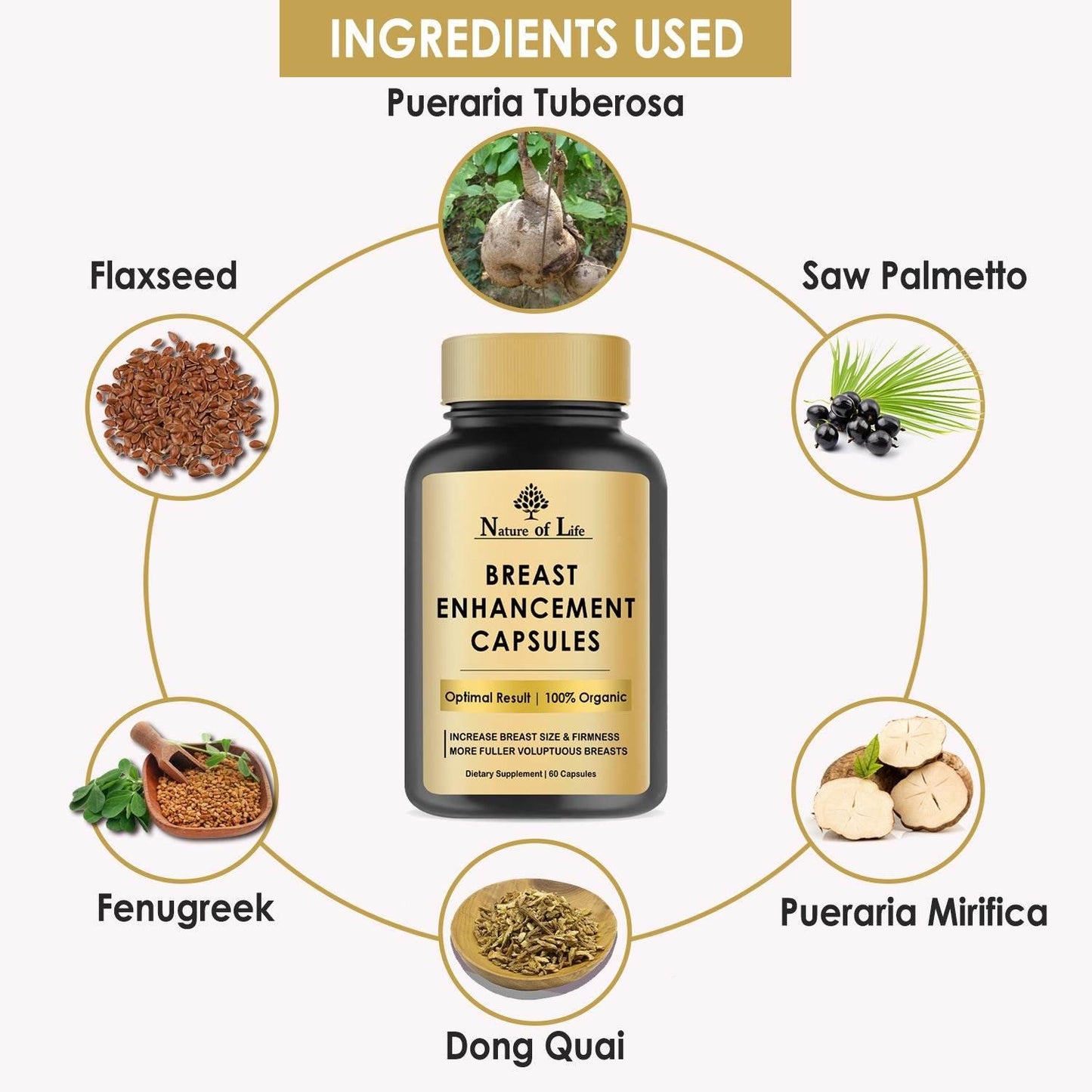 Nature of Life Breast Enhancement Capsule Ingredients Used - Beauty Swiss