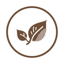 Leaf for organic product